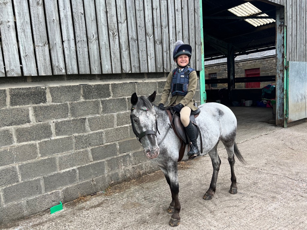 Pony for Sale One in a million perfect 1st pony