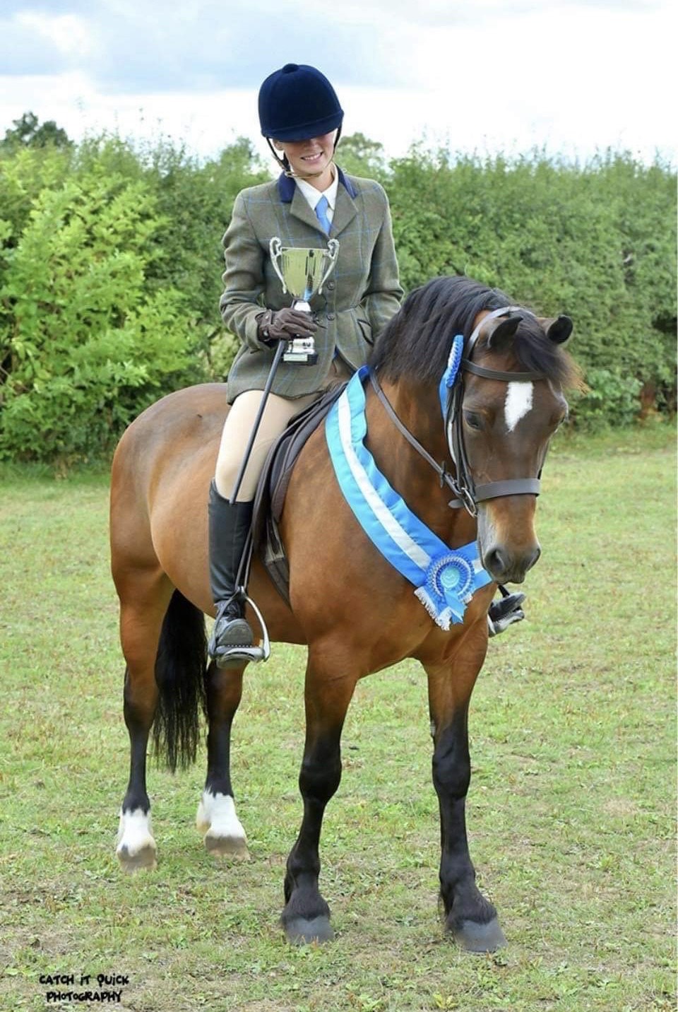 Pony for Sale Super allrounder 14.1