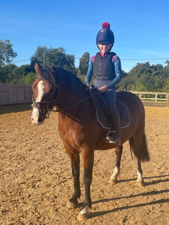 Pony for Sale Beautiful 13.1hh Welsh c