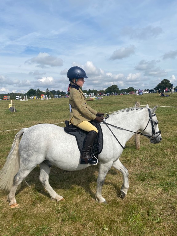 Pony for Sale Lead Rein/first ridden